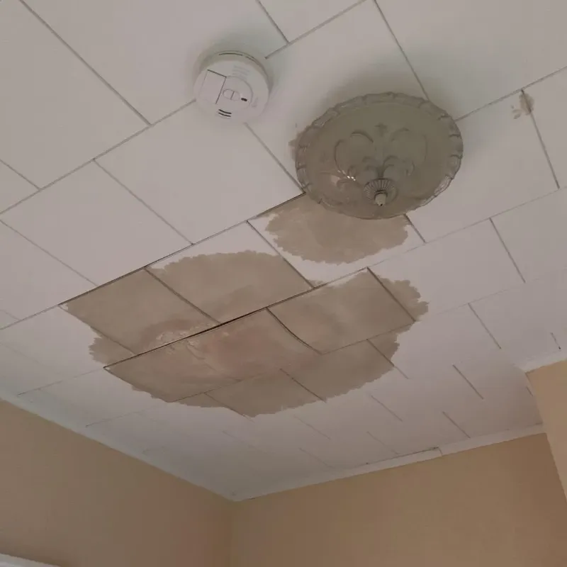Ceiling Water Damage Repair in Highland County, VA