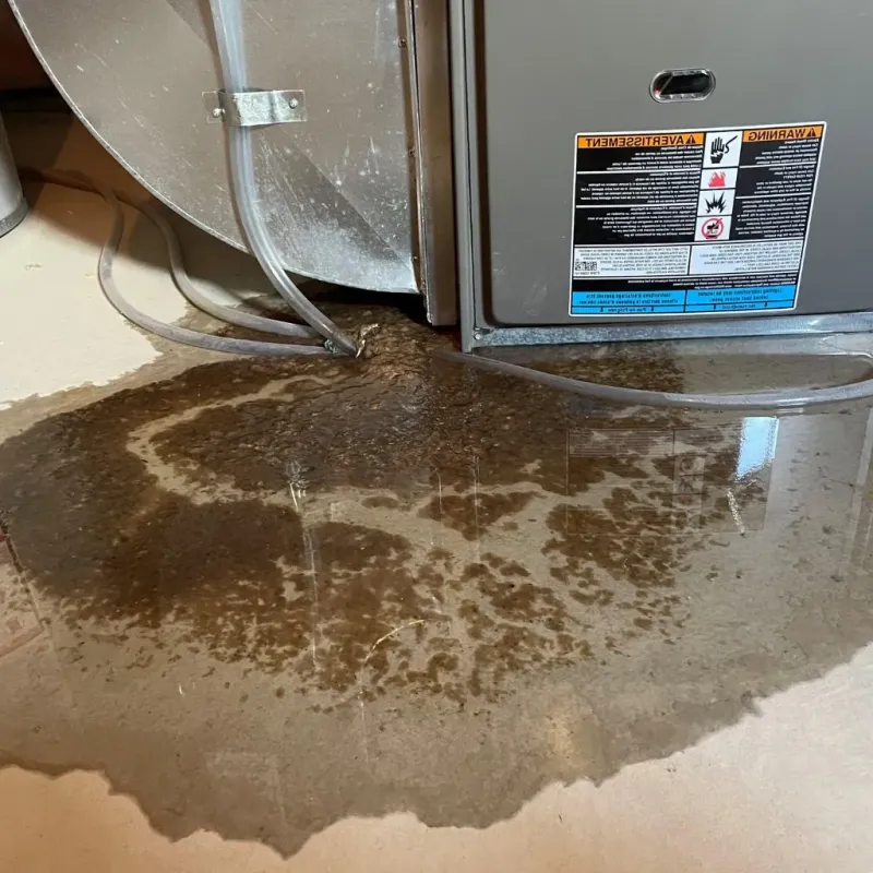 Pipe Burst and Leak Restoration in Highland County, VA