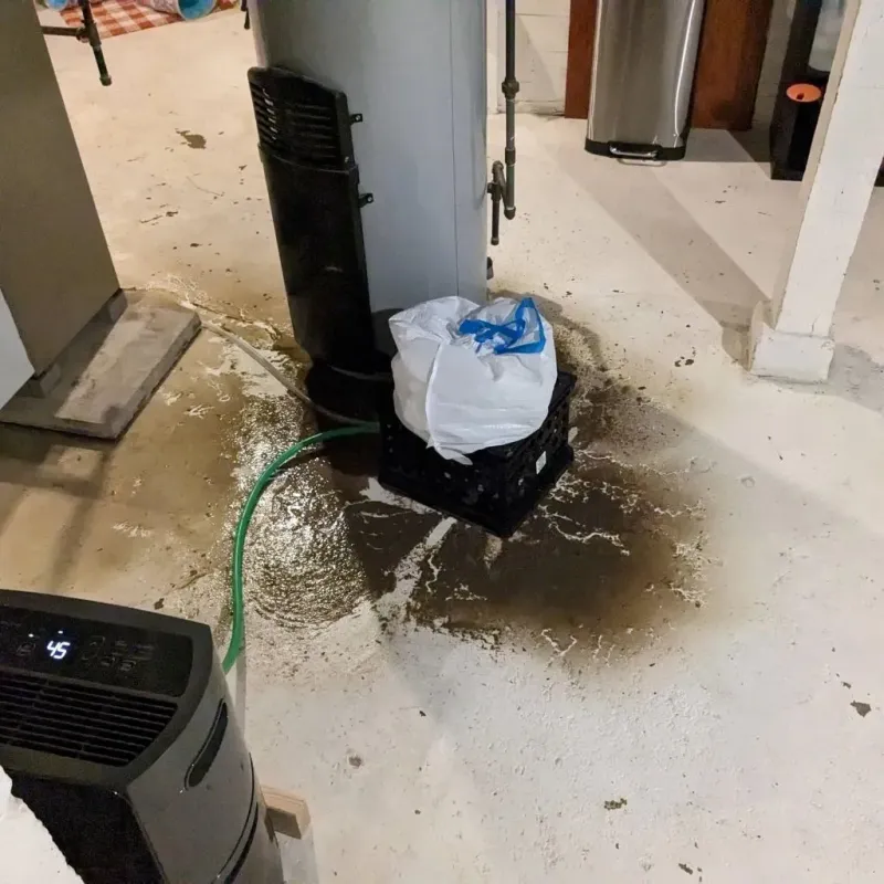 Sewage Backup Cleanup Service in Highland County, VA